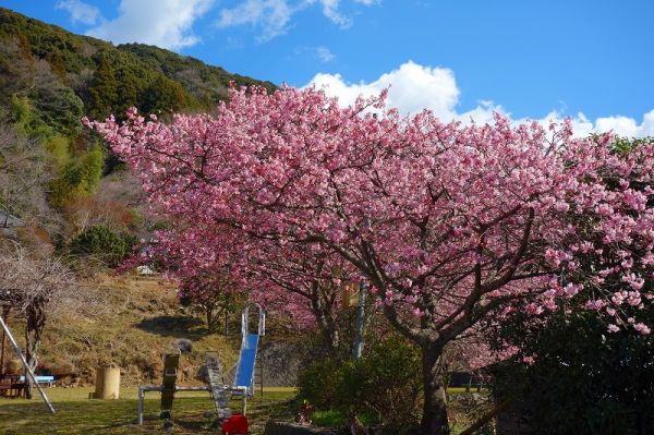 下佐ヶ野公園