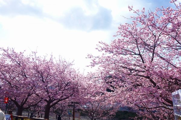 沢田涅槃堂駐車場