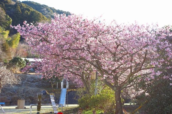 下佐ヶ野公園