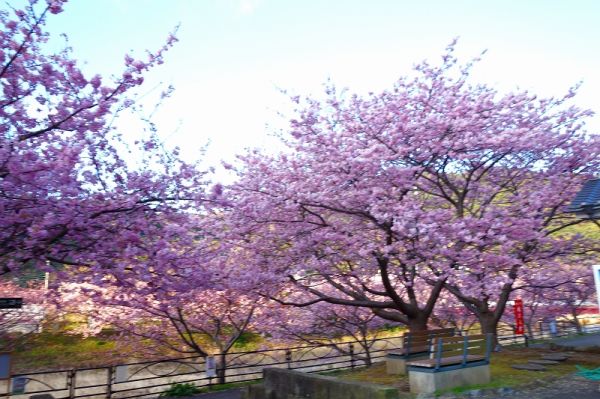 沢田涅槃堂駐車場