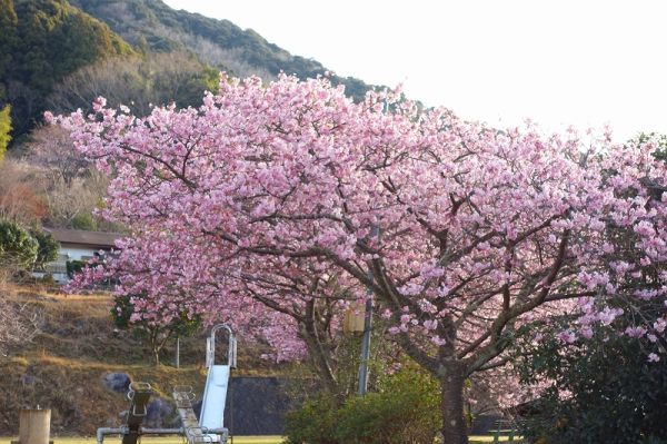 下佐ヶ野公園