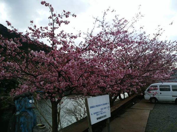 大堰　かっぱ橋