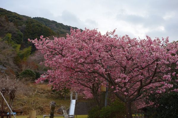 下佐ヶ野公園