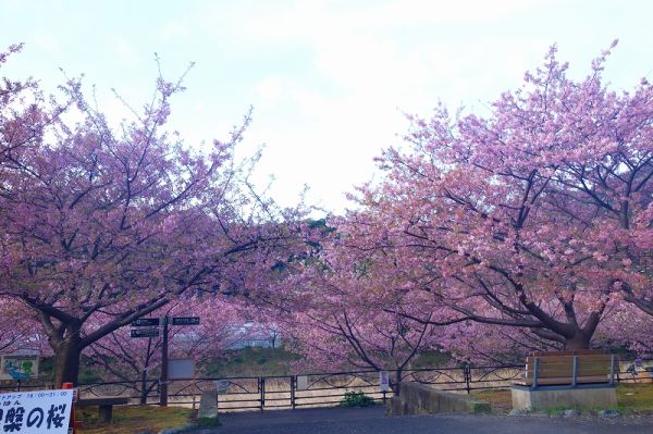 沢田涅槃堂駐車場