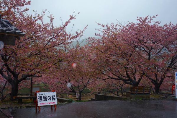 沢田涅槃堂駐車場