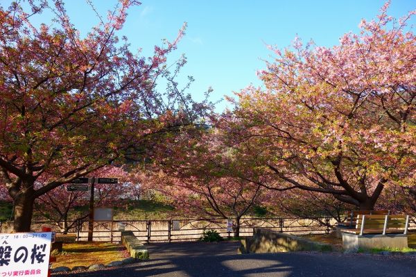 沢田涅槃堂駐車場