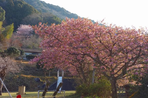 下佐ヶ野地区