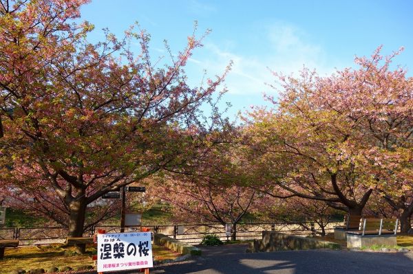 沢田涅槃堂駐車場