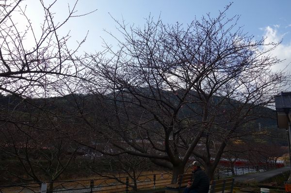 沢田涅槃堂周辺