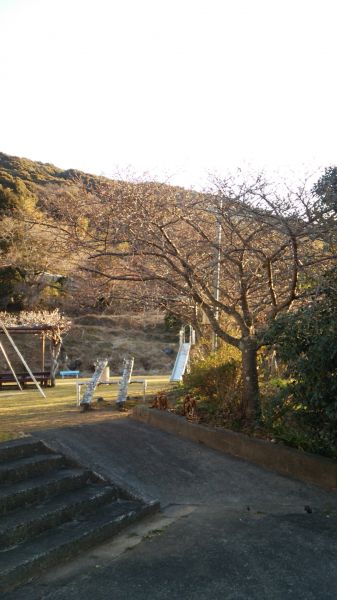 下佐ヶ野公園