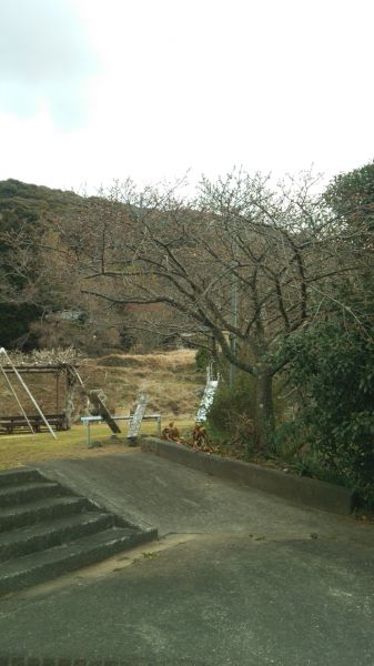 下佐ヶ野公園