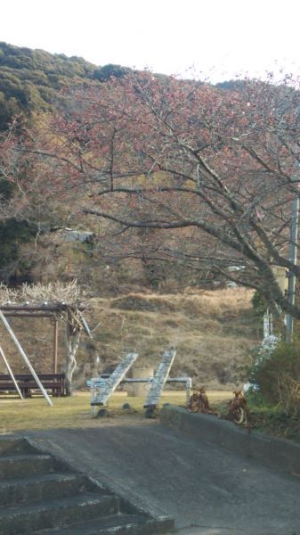下佐ヶ野公園