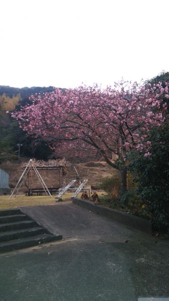 下佐ヶ野公園