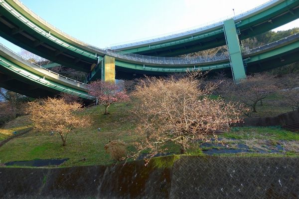 河津七滝ループ橋