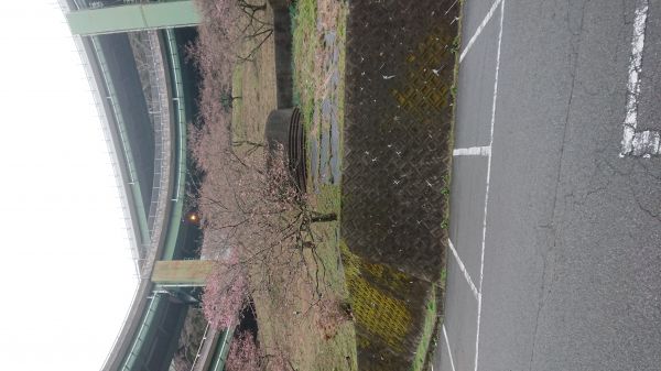 ループ橋駐車場