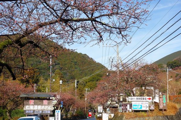 七滝メインストリート