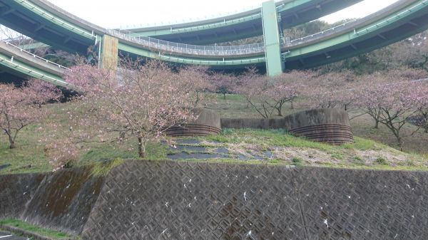 ループ橋駐車場