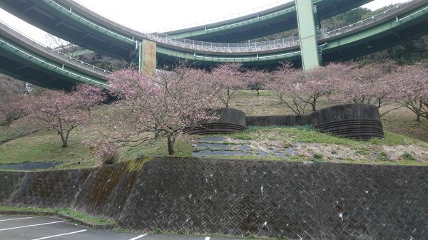 ループ橋駐車場