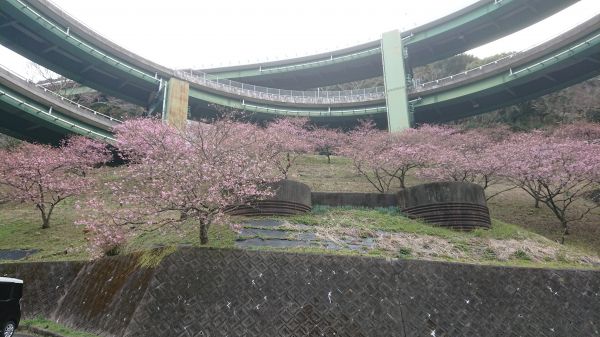 ループ橋駐車場