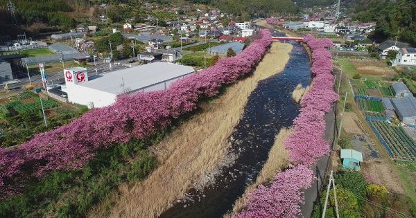 沢田地区川沿い