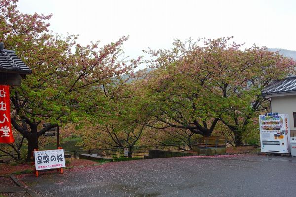 涅槃堂駐車場周辺