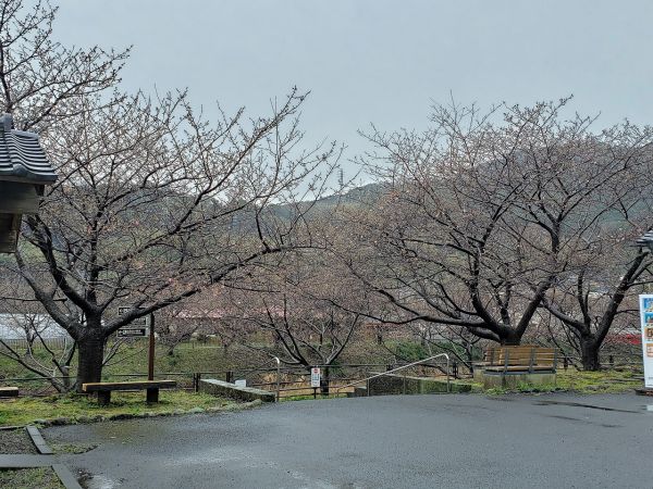 沢田涅槃堂駐車場