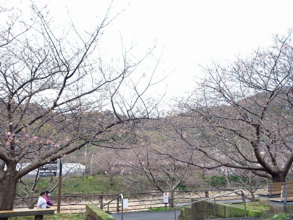 沢田涅槃堂駐車場