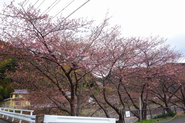 沢田涅槃堂駐車場