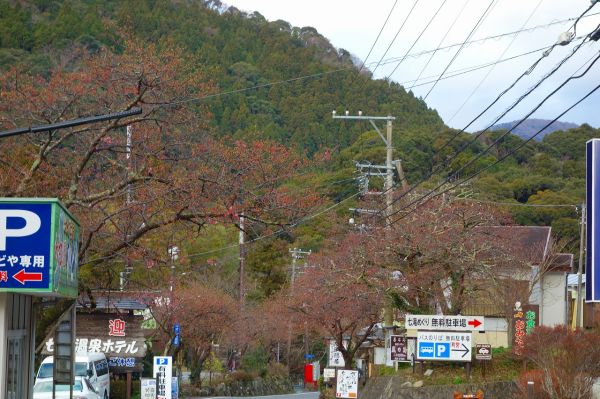 河津七滝メインストリート