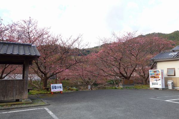 沢田涅槃堂駐車場