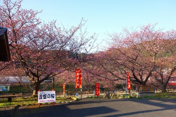 沢田地区涅槃堂駐車場