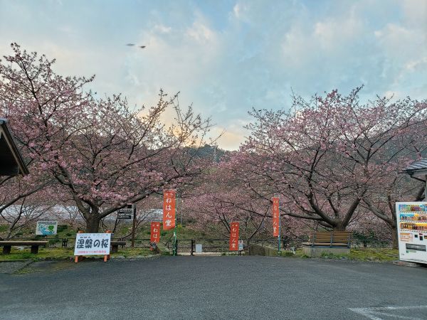 沢田涅槃堂駐車場