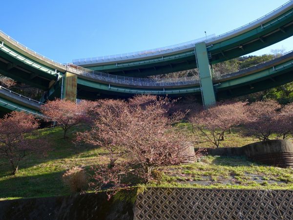 河津七滝ループ橋