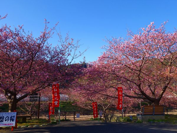 沢田地区涅槃堂駐車場