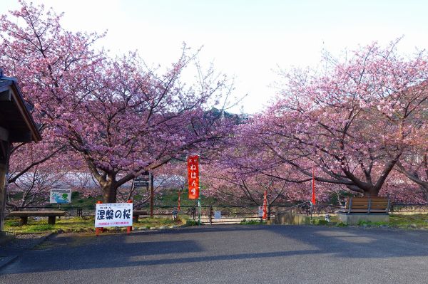 沢田地区涅槃堂駐車場