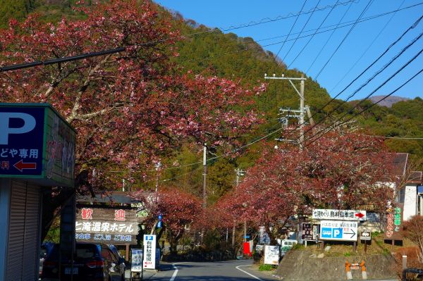 河津七滝メインストリート