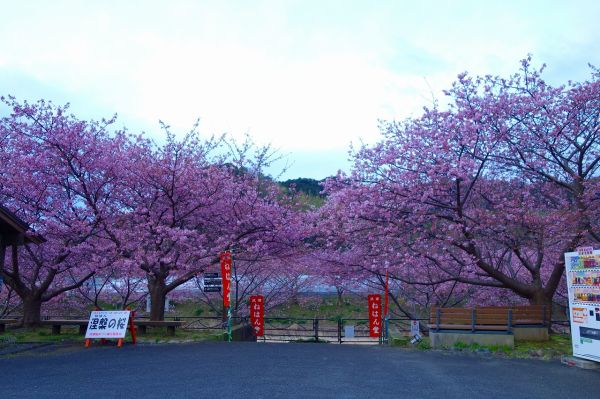 沢田地区涅槃堂駐車場