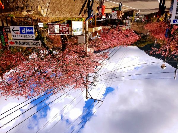 河津七滝メインストリート