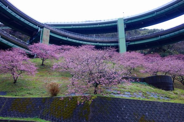河津七滝ループ橋