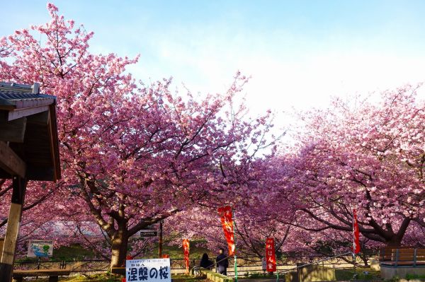 沢田地区涅槃堂駐車場