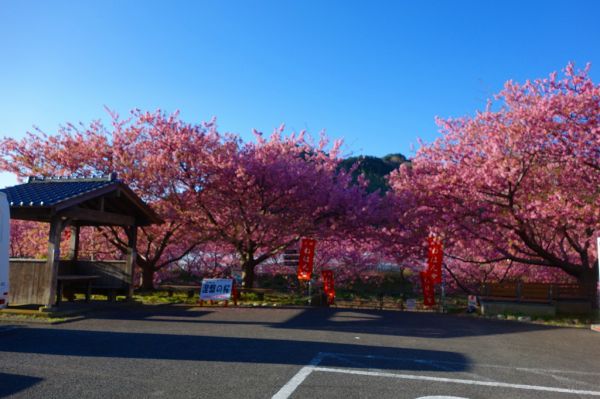 沢田涅槃堂駐車場