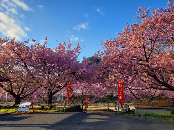 沢田涅槃堂駐車場