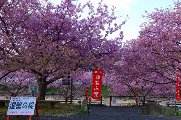 沢田涅槃堂駐車場