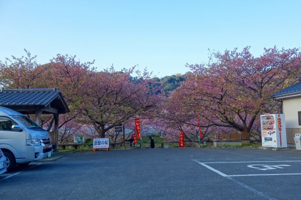 沢田涅槃堂駐車場