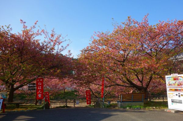 沢田涅槃堂駐車場