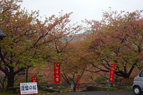 沢田涅槃堂駐車場