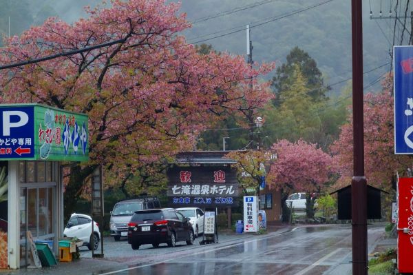 河津七滝メインストリート