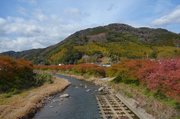 沢田地区川沿い