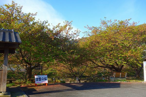 沢田涅槃堂駐車場