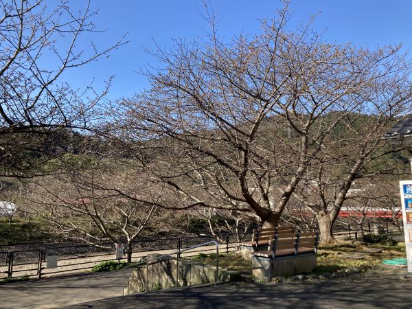 沢田涅槃堂駐車場